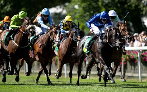 Latest Horse Racing Tips for Newmarket .